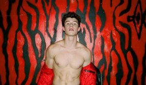 Shawn Mendes : Abdos dessinés et moue de mannequin, découvrez son premier shooting sexy !