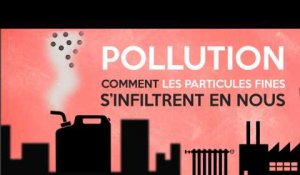 Pollution : comment les particules fines s'infiltrent en nous