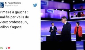 Primaire à gauche : qualifié par Valls de «vieux professeur», Peillon s'agace