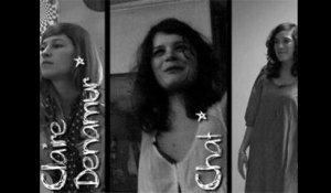 Chat, Luciole, Claire Denamur : Trois filles dans le vent