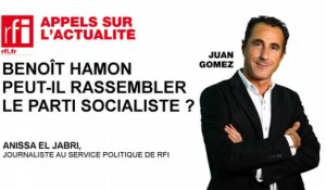 Benoît Hamon peut-il rassembler le parti socialiste ?
