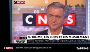 Marine Le Pen dézinguée par Bernard-Henri Lévy sur CNews (vidéo)