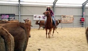 Cheval Passion : 160 cowboys en compétition pour trier du bétail