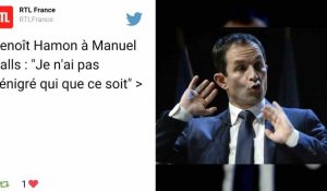 Benoît Hamon et Manuel Valls, programme contre programme