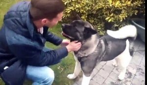 Tournai: la profession de Dylan, Dog Trotteur