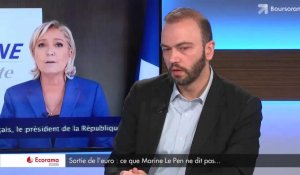 Sortie de l'euro : ce que Marine Le Pen ne dit pas...