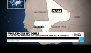 Violences au Mali : le bilan des tensions s'alourdit entre Peuls et Bambaras