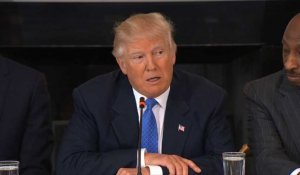 Expulsion de clandestins: Trump parle d'"opération militaire"