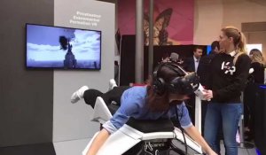 Volez comme un oiseau... en réalité virtuelle