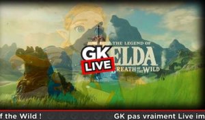 The Legend of Zelda : Breath of the Wild - GK (pas) Live Preview