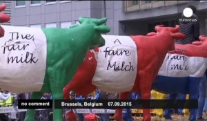 Farmers protest in Brussels