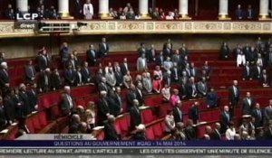 L'émotion à l'Assemblée : une minute de silence après la mort de la journaliste Camille Lepage en Centrafrique