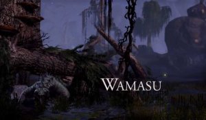 The Elder Scrolls Online - Wamasu