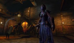 Dungeons & Dragons : NeverWinter - Le Val Rothé