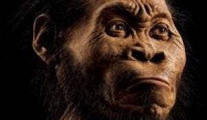 Homo naledi : pourquoi il interroge la communauté scientifique