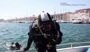 Marseille: l'ONG Sea Shepherd dénonce la pollution sous-marine au Vieux-Port