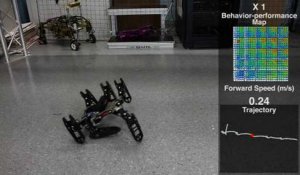 Comme un animal, ce robot apprend à marcher avec une patte cassée.