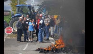 Des éleveurs bloquent la frontière entre la France et l'Allemagne