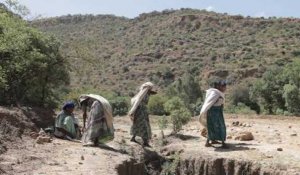 Ethiopie: 30 ans après la famine, le nord retrouve des couleurs