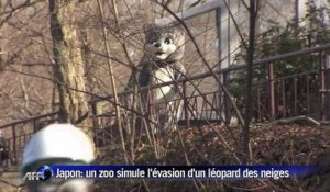 Scène improbable au zoo de Tokyo : une simulation d'évasion d'animaux
