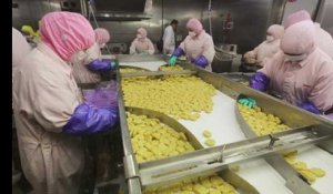 Chine : vidéo dans l'usine qui fournissait de la viande périmée à McDonald's et KFC