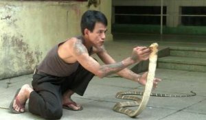 En Birmanie, les serpents tuent plus qu'ailleurs dans le monde
