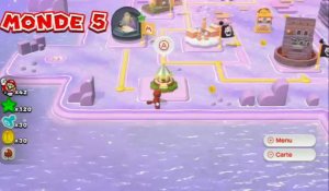 Soluce Super Mario 3D World : Niveau 5-Tampon