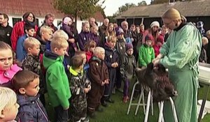 Le zapping du 14/10 : Danemark : Un zoo donne des cours de dissection... pour enfants !