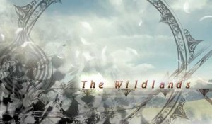 Lightning Returns : Final Fantasy XIII - Wildlands