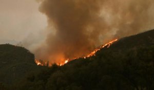 Etat d'urgence en Californie face à des feux monstres