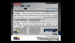 Télézapping  : "Patrick Plagiat d'Arvor"