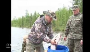 Vladimir Poutine va à la pêche en Sibérie