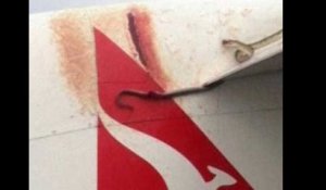 Un python voyage sur l'aile d'un avion