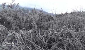 Paysages post-apocalyptiques aux abords du volcan Sinabung en Indonésie