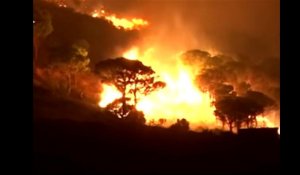 L'incendie meurtrier dans les Pyrénées orientales, à travers nos télés