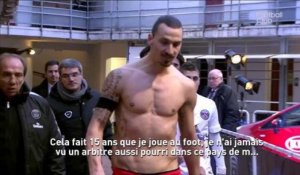 Le 18:18 : les Marseillais veulent des sanctions contre Ibrahimovic