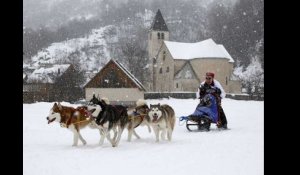 Championnat de France de chiens de traineau dans les Alpes