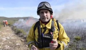 Marseille : des brûlages pour mieux combattre les feux de forêts