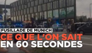 Ce que l'on sait de la fusillade dans un centre commercial de Munich