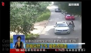 Chine: une femme attaquée et tuée par un tigre dans un parc animalier