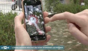 L'Arabie Saoudite publie une fatwa pour interdire Pokemon Go - ZAPPING ACTU DU 21/07/2016