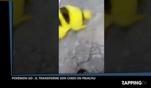 Pokémon Go : Il transforme son chien en Pikachu et se fait lyncher par les internautes (Video)