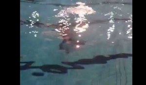 Mouscron: on a testé la plongée à la piscine des Dauphins
