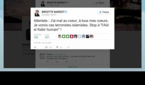 Attentats : Brigitte Bardot s'emporte sur Twitter