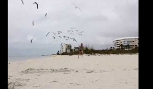 Une jeune fille littéralement assaillie par des mouettes sur la plage