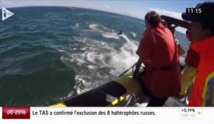 Le duo de l'info, I-Télé : des baleines percutent le canot pneumatique de touristes français, au Canada