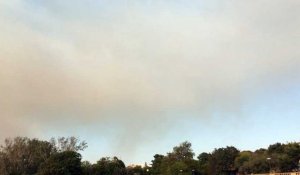 Incendies : le feu vu du parc Borély