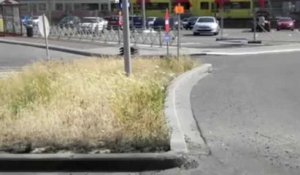 Les mauvaises herbes à Charleroi en vidéo