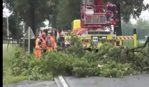 Un arbre foudroyé bloque la grand-route de Maastricht