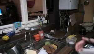 Infestation de rats dans une maison à Anderlecht